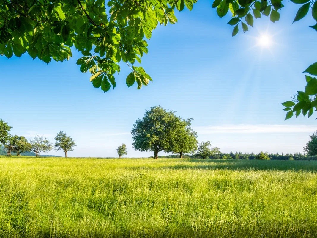 Zum Kauf gesucht: Baugrundstücke bewilligte Projekte Umbauprojekte