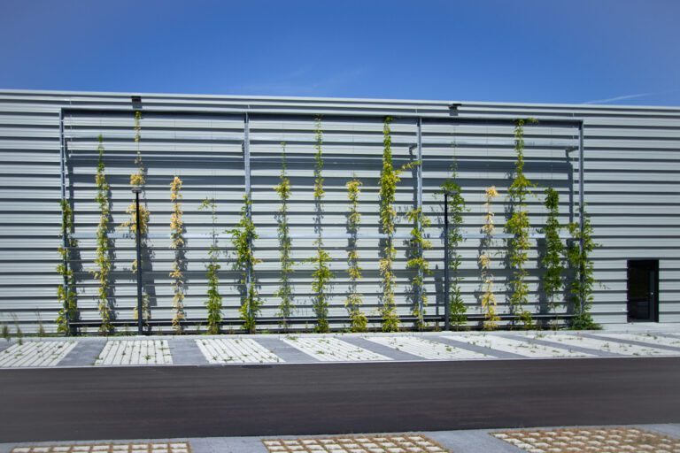 FERTIGSTELLUNG Verwaltungsgebäude STORZ MEDICAL